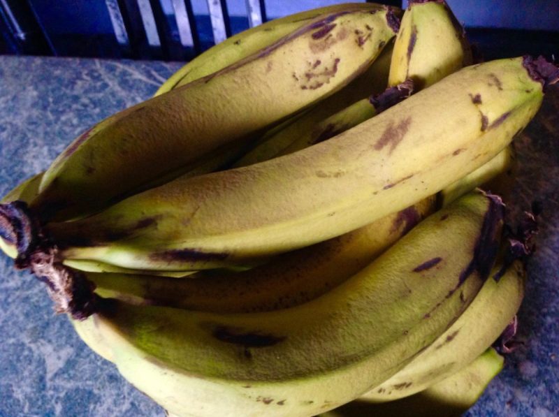 Do you need artificial fruit ripeners for bananas to ripen properly ...